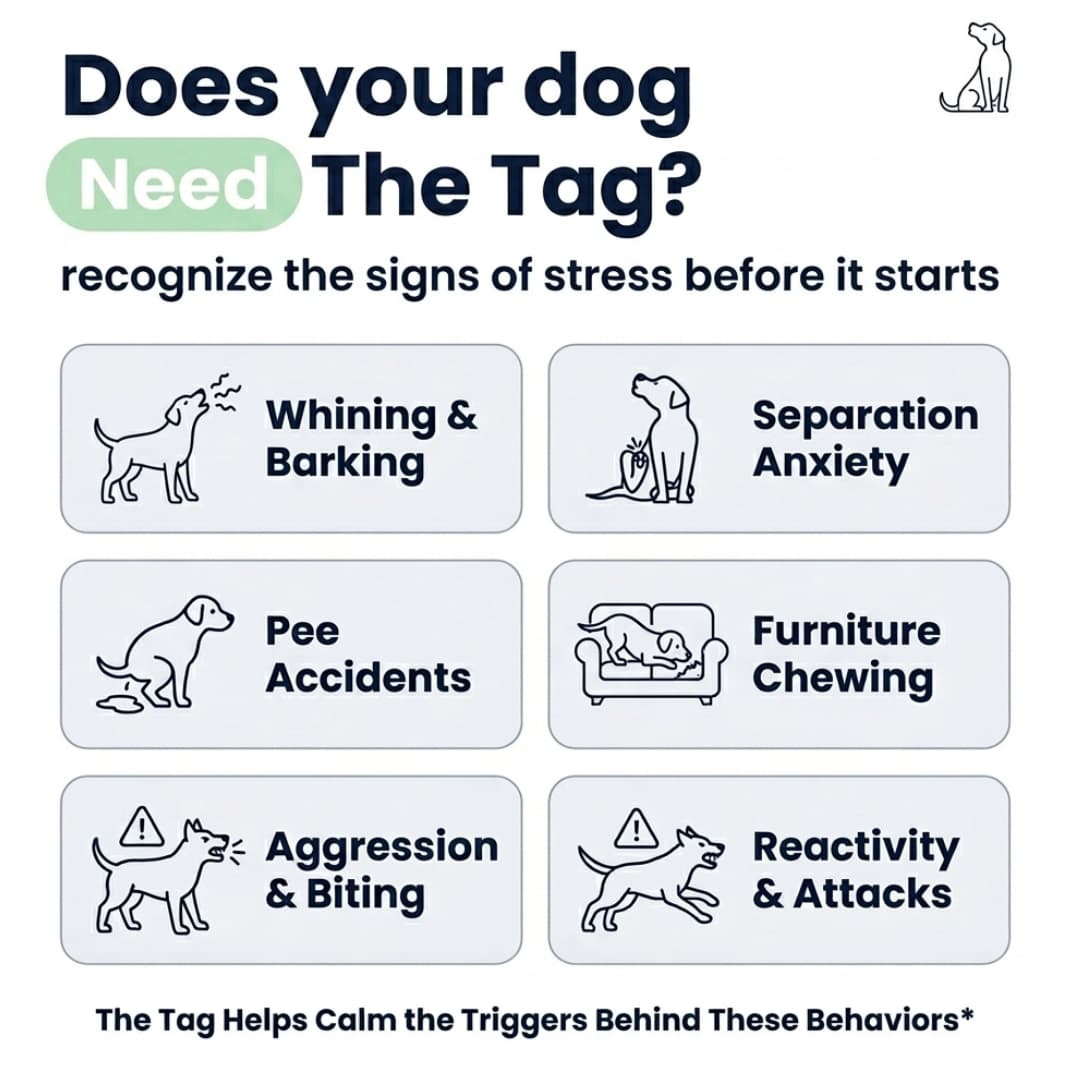 Calming Pheromone Tag