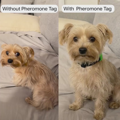 Calming Pheromone Tag